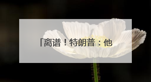 离谱！特朗普：他亲热地叫我爸爸，北约秘书长：我没有