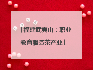 福建武夷山：职业教育服务茶产业