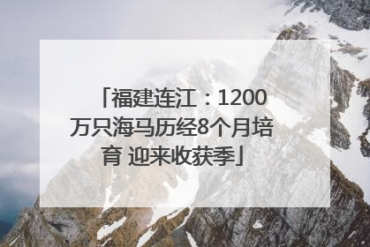 福建连江：1200万只海马历经8个月培育 迎来收获季