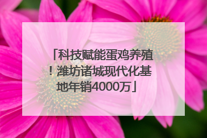 科技赋能蛋鸡养殖！潍坊诸城现代化基地年销4000万