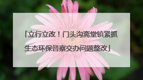 立行立改！门头沟斋堂镇紧抓生态环保督察交办问题整改