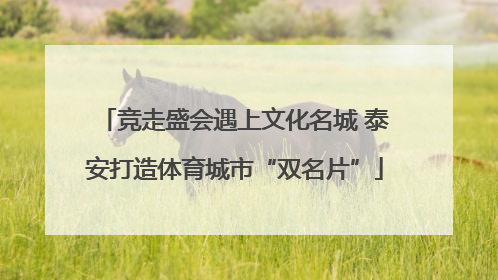 竞走盛会遇上文化名城 泰安打造体育城市“双名片”