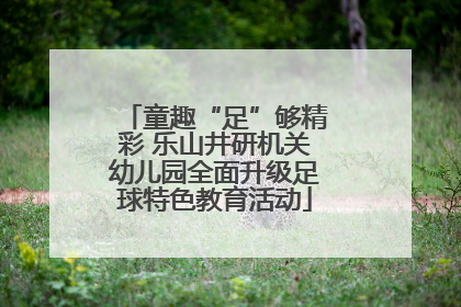 童趣“足”够精彩 乐山井研机关幼儿园全面升级足球特色教育活动