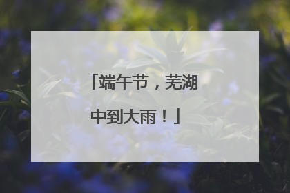 端午节，芜湖中到大雨！