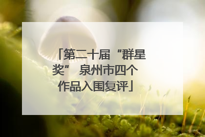 第二十届“群星奖” 泉州市四个作品入围复评
