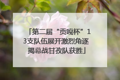 第二届“贡嘎杯”13支队伍展开激烈角逐 揭幕战甘孜队获胜