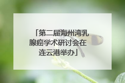 第二届海州湾乳腺癌学术研讨会在连云港举办