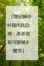 翔安城中村现代化治理：改革创新引领城乡蝶变