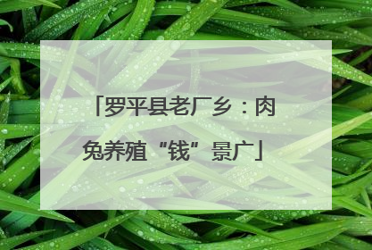 罗平县老厂乡：肉兔养殖“钱”景广