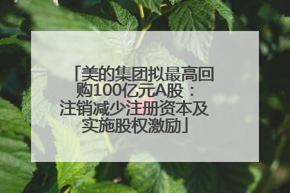 美的集团拟最高回购100亿元A股：注销减少注册资本及实施股权激励