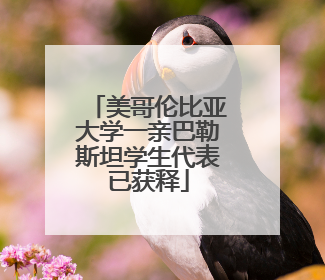 美哥伦比亚大学一亲巴勒斯坦学生代表已获释