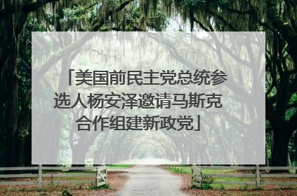 美国前民主党总统参选人杨安泽邀请马斯克合作组建新政党