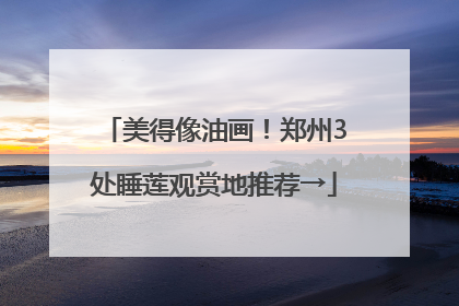 美得像油画！郑州3处睡莲观赏地推荐→