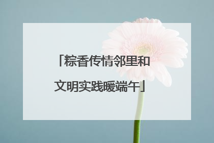 粽香传情邻里和 文明实践暖端午