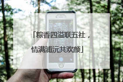 粽香四溢联五社，情满浦沅共欢颜