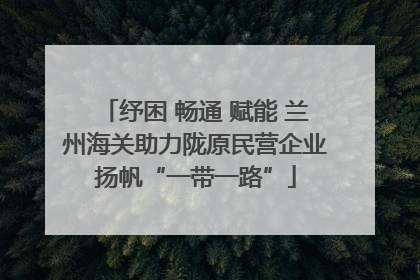 纾困 畅通 赋能 兰州海关助力陇原民营企业扬帆“一带一路”