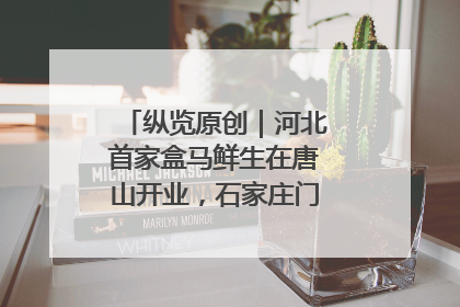 纵览原创｜河北首家盒马鲜生在唐山开业，石家庄门店预计8月开业