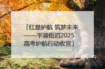 红星护航 筑梦未来——平湖街道2025高考护航行动收官