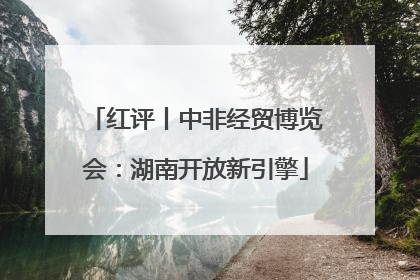 红评丨中非经贸博览会：湖南开放新引擎