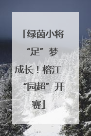 绿茵小将 “足”梦成长！榕江“园超”开赛