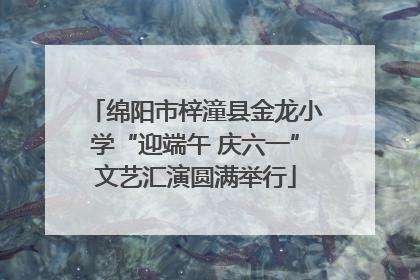 绵阳市梓潼县金龙小学“迎端午 庆六一”文艺汇演圆满举行