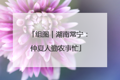 组图｜湖南常宁：仲夏人勤农事忙