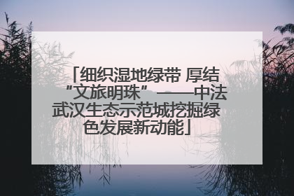 细织湿地绿带 厚结“文旅明珠”——中法武汉生态示范城挖掘绿色发展新动能