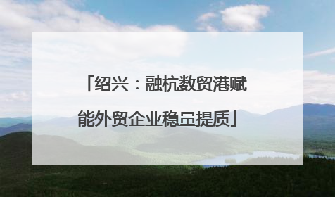 绍兴：融杭数贸港赋能外贸企业稳量提质