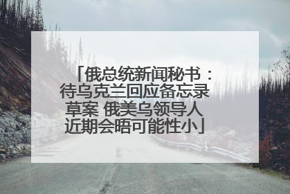 俄总统新闻秘书：待乌克兰回应备忘录草案 俄美乌领导人近期会晤可能性小