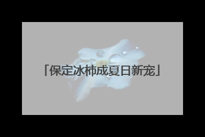 保定冰柿成夏日新宠