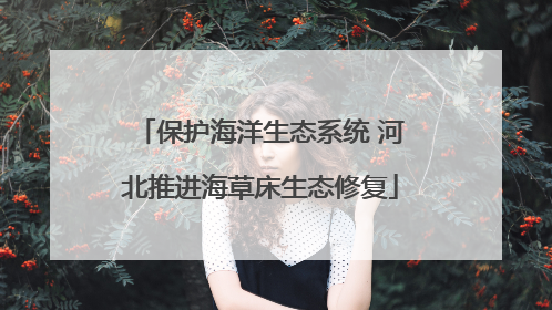 保护海洋生态系统 河北推进海草床生态修复