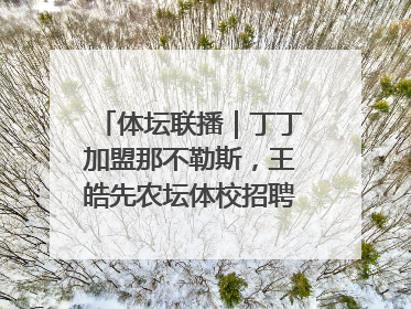 体坛联播｜丁丁加盟那不勒斯，王皓先农坛体校招聘笔试第一