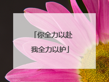 你全力以赴 我全力以护