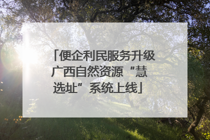 便企利民服务升级 广西自然资源“慧选址”系统上线