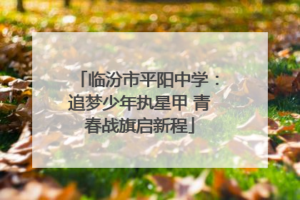 临汾市平阳中学：追梦少年执星甲 青春战旗启新程