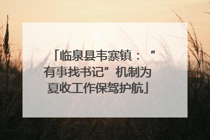 临泉县韦寨镇：“有事找书记”机制为夏收工作保驾护航