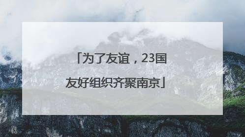 为了友谊，23国友好组织齐聚南京