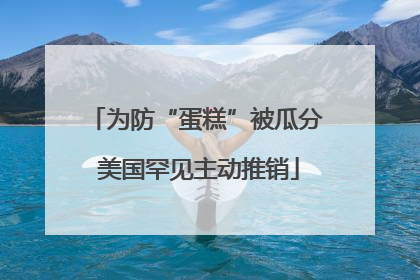 为防“蛋糕”被瓜分 美国罕见主动推销
