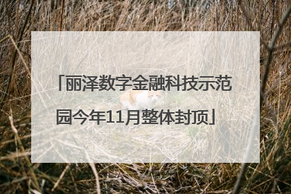 丽泽数字金融科技示范园今年11月整体封顶