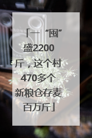 一“囤”盛2200斤，这个村470多个新粮仓存麦百万斤