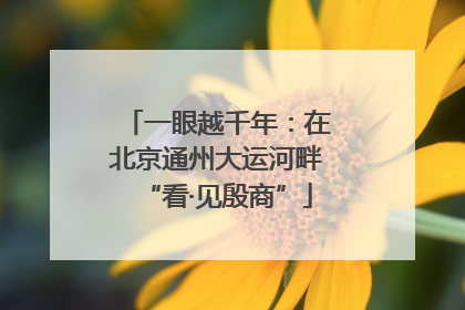 一眼越千年：在北京通州大运河畔“看·见殷商”
