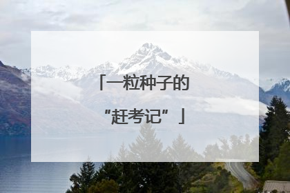 一粒种子的“赶考记”