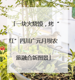 一块火烧馍，烤“红”四川广元月坝农旅融合新图景