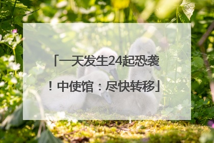 一天发生24起恐袭！中使馆：尽快转移