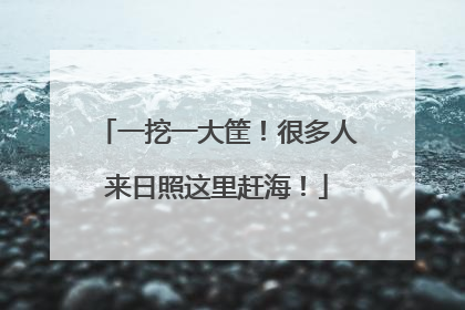 一挖一大筐！很多人来日照这里赶海！