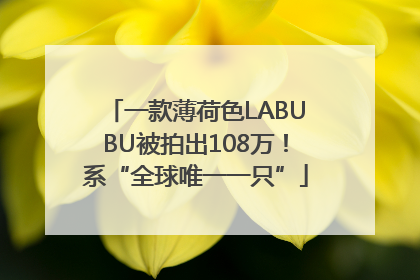 一款薄荷色LABUBU被拍出108万！系“全球唯一一只”