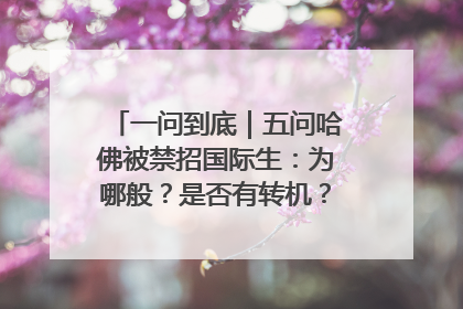 一问到底｜五问哈佛被禁招国际生：为哪般？是否有转机？学生怎么办？