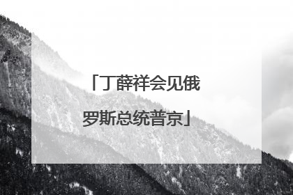 丁薛祥会见俄罗斯总统普京