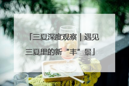 三夏深度观察｜遇见三夏里的新“丰”景