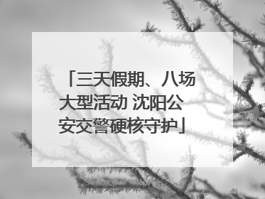三天假期、八场大型活动 沈阳公安交警硬核守护